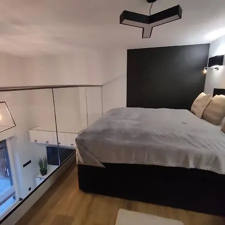 Superior Laguna Beskidow Pilot's Studio! Sauna&gym! Air Condition! Zarzecze (Silesia)