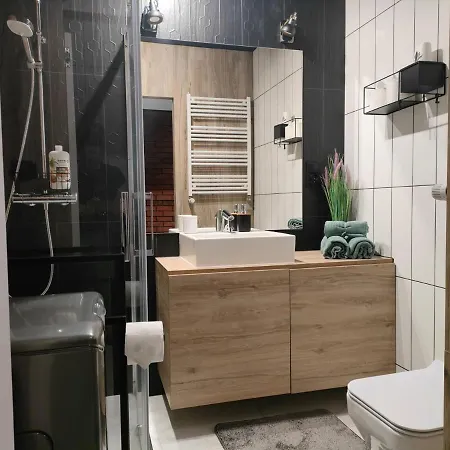Superior Laguna Beskidow Pilot's Studio! Sauna&gym! Air Condition! * Zarzecze (Silesia)